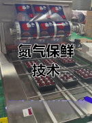 氮气保鲜技术延长乳制品保质期